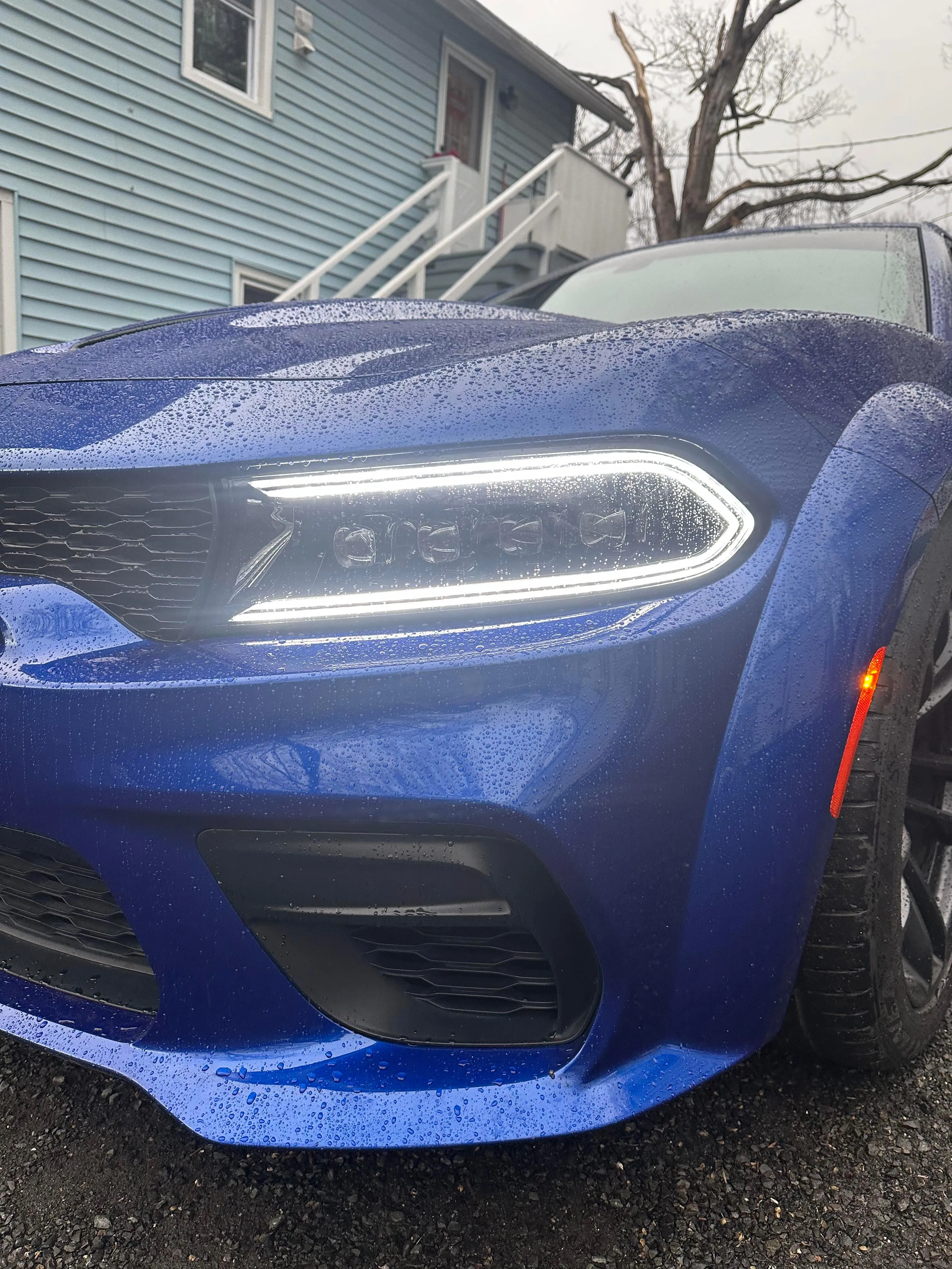 Alpharex 15-23 Dodge Charger NOVA-Series LED Projector Headlights Black - Image 4