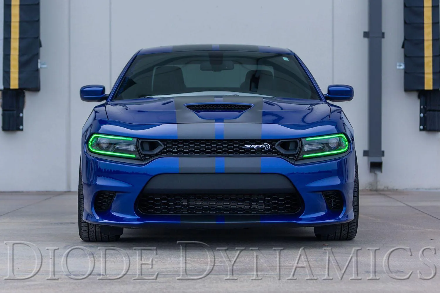 Diode Dynamics 2019-2023 Dodge Charger Multicolor LED Boards - Image 3