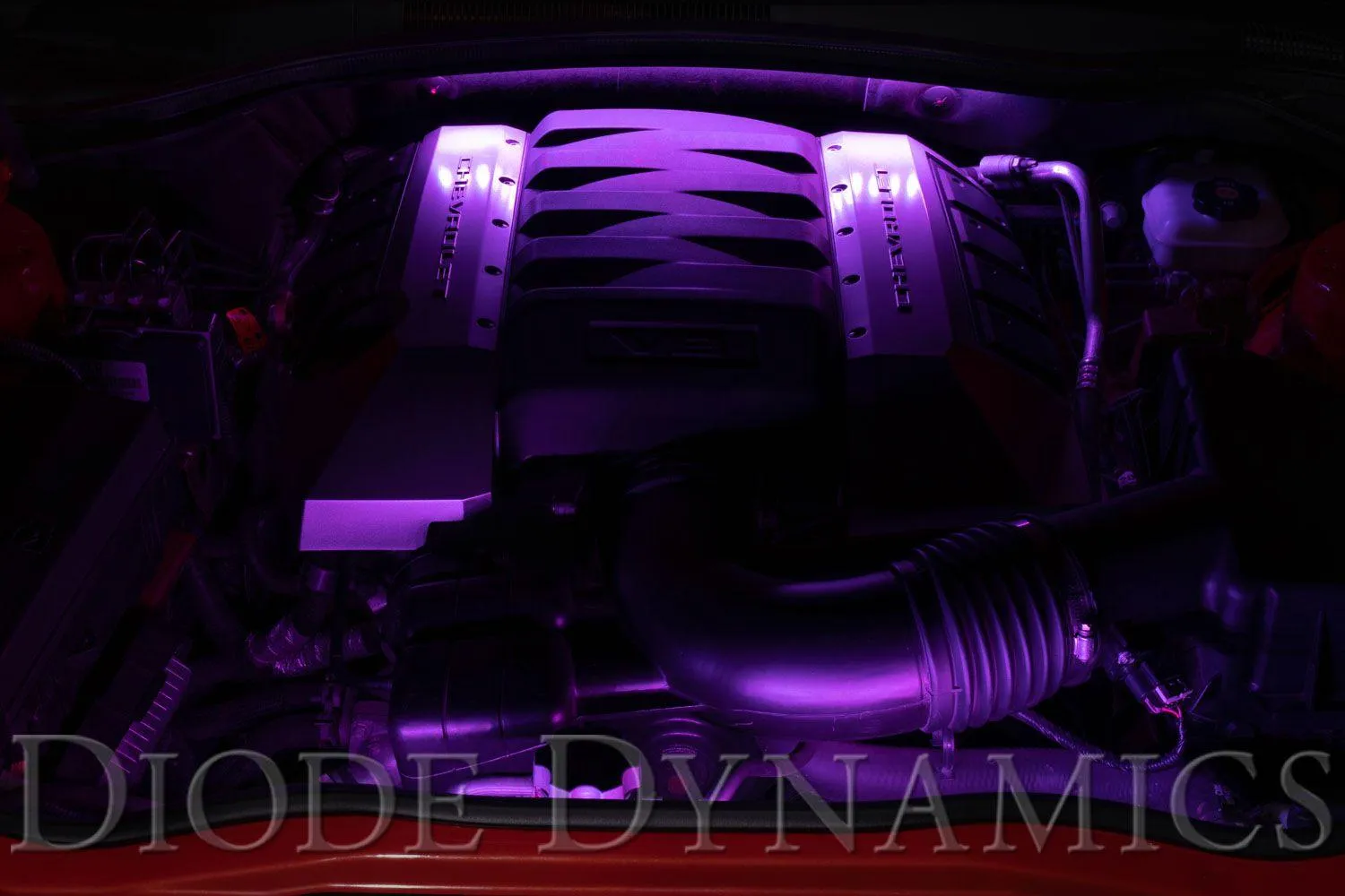 Diode Dynamics RGBW Multicolor Engine Bay LED Kit - Image 3